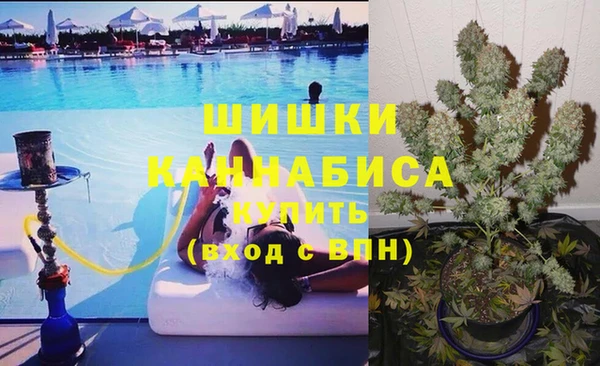 ПСИЛОЦИБИНОВЫЕ ГРИБЫ Киренск