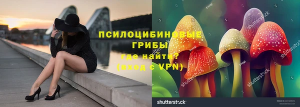 ПСИЛОЦИБИНОВЫЕ ГРИБЫ Киренск