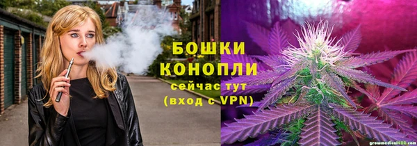 твердый Корсаков