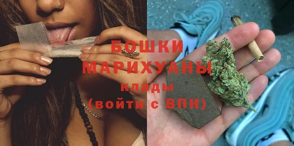 твердый Корсаков