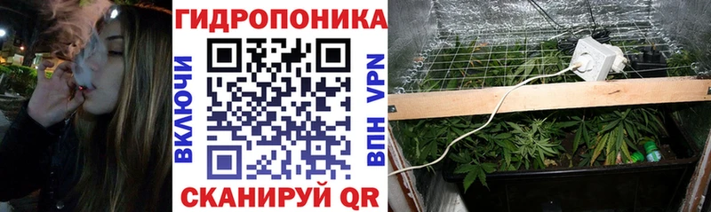 дарк нет клад Спас-Клепики Каннабис тримм